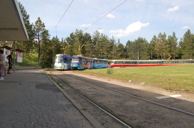 20.JPG