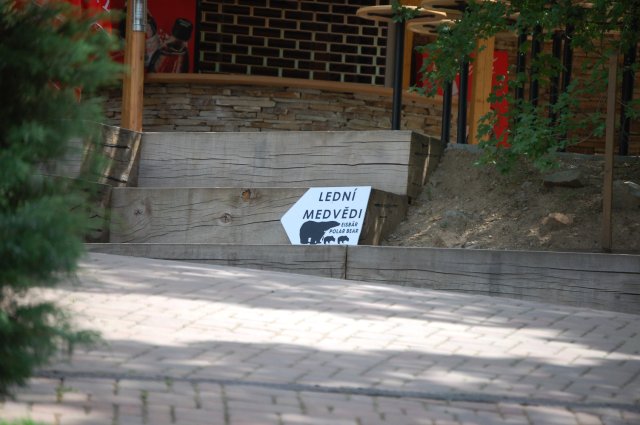 39.JPG
