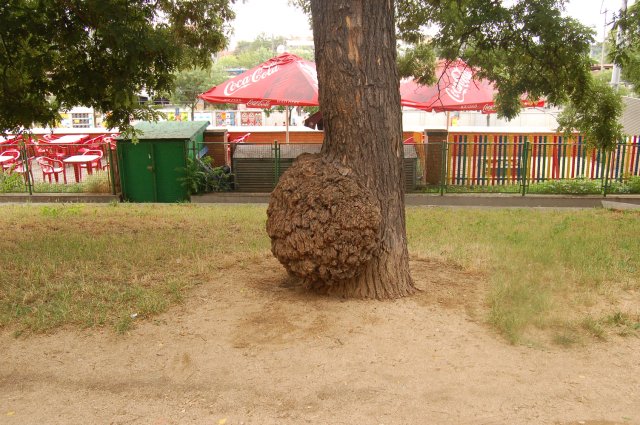 23.JPG